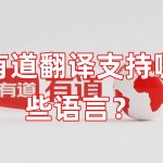 有道翻译支持哪些语言？